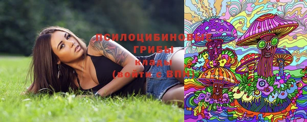 таблы Алзамай