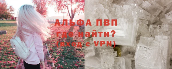 молекула духа Алексин