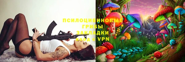 молекула духа Алексин