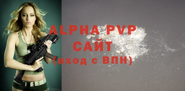 молекула духа Алексин