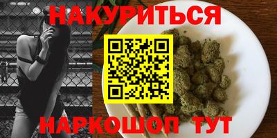 сатива Камышлов