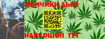 сатива Камышлов