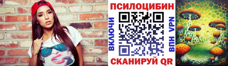 Псилоцибиновые грибы Psilocybe  blacksprut вход  Сунжа 
