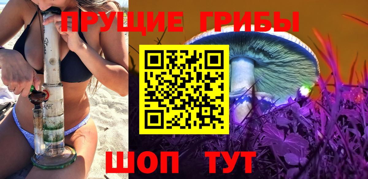 купить наркотик  Вход с VPN  Сунжа  Галлюциногенные грибы Psilocybe 