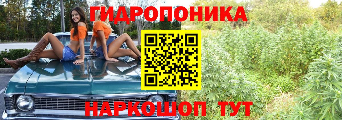 Бошки марихуана планчик  Канабис THC 21%  Сунжа  Вход с VPN 